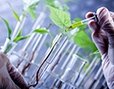 Biotecnologia