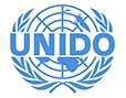 UNIDO - UN Industrial Development Organization, Internacional